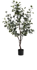 Kunstplant Eucalyptus H140 cm