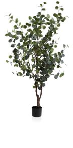 Kunstplant Eucalyptus H180 cm