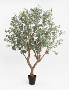 Kunstplant Eucalyptus H240 cm